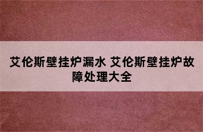 艾伦斯壁挂炉漏水 艾伦斯壁挂炉故障处理大全